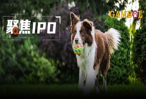 乖寶寵物境外重大訴訟懸而未決，利潤(rùn)空間受境內(nèi)外雙重?cái)D壓，寵物食品銷售困局待解