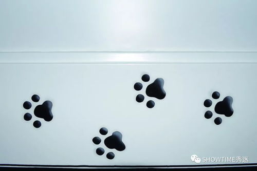 從寵物店購買寵物狗 明智選擇還是潛在陷阱？